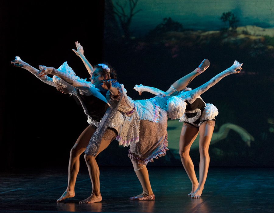 El lago de los cisnes (3D)